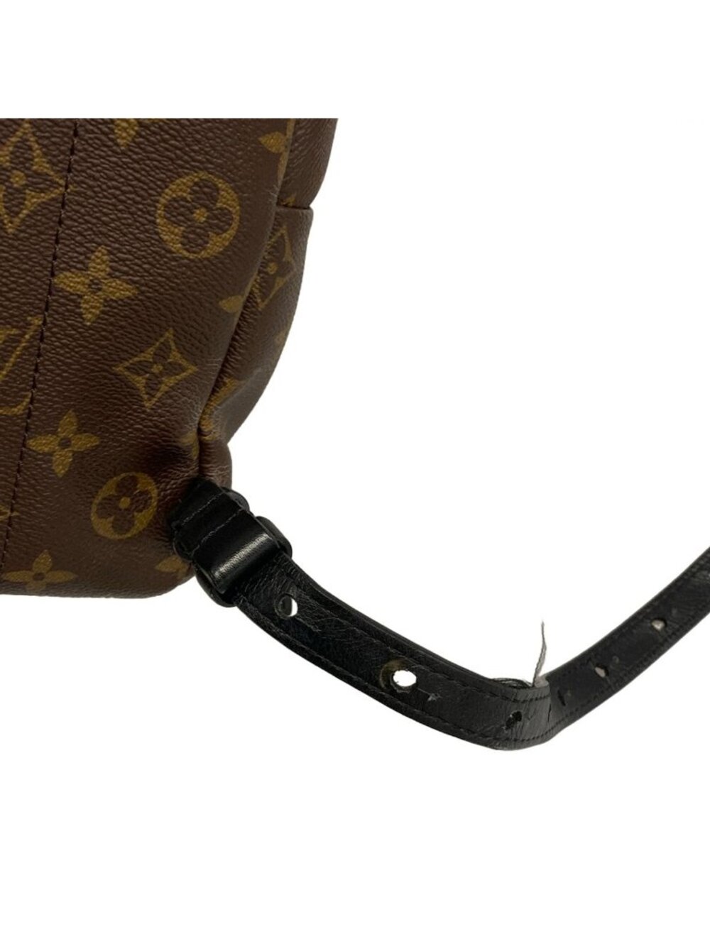 Louis Vuitton Sac Monogram Palm Springs Backpack PM - Picture 11 of 15